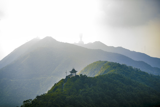 梧桐山