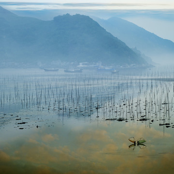 霞浦海滩