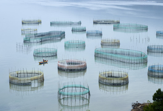 海水养殖场