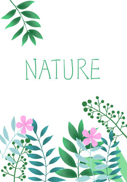 小清新花草插畫