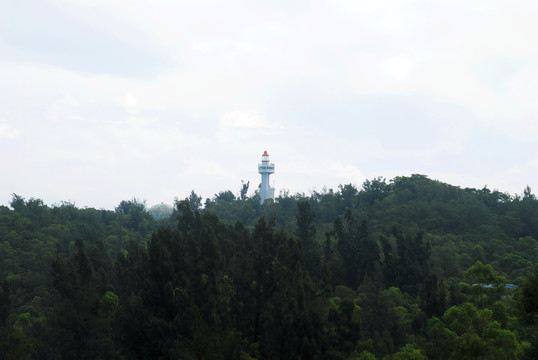 双月湾海龟湾基地