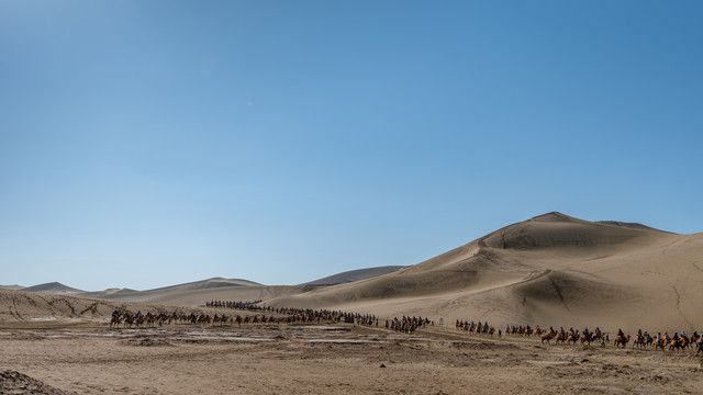 沙丘与驼队