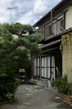 日本京都庭院