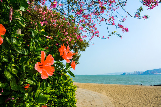 鼓浪屿