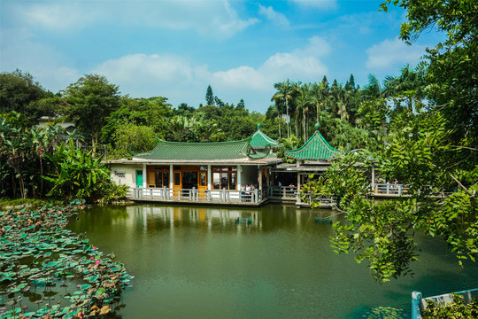 厦门园林植物园