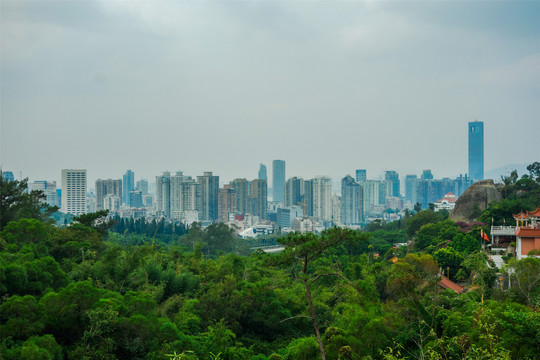 厦门园林植物园