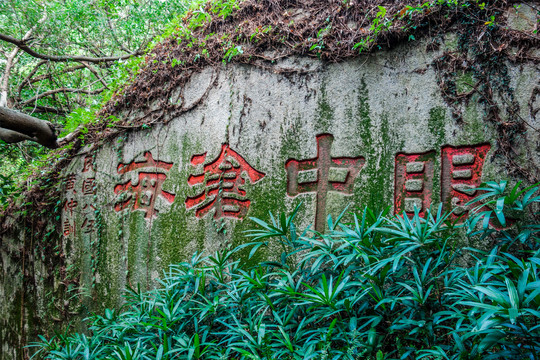 厦门园林植物园