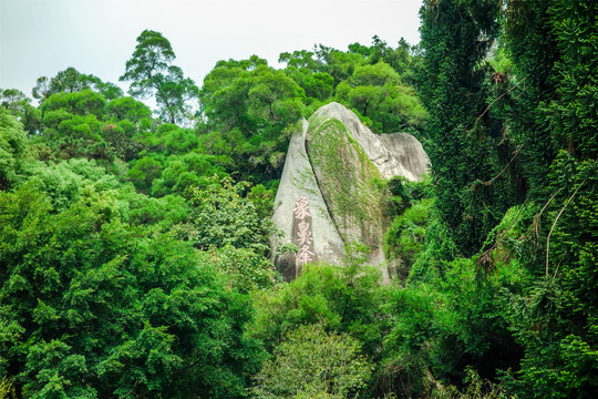 厦门园林植物园