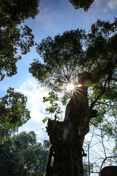 乐山大佛景区