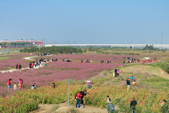 花海人海