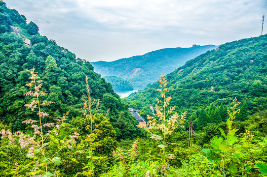 九华山风光