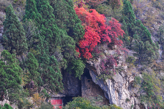 潭溪山红叶