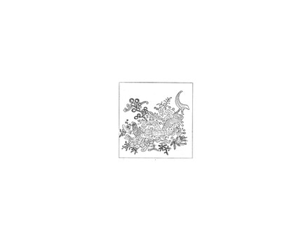 丁云鵬 貝殼財(cái)寶