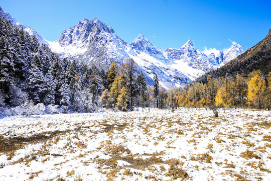 川西雪山风景