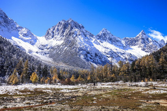 川西雪山风景