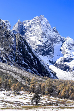 川西雪山风景