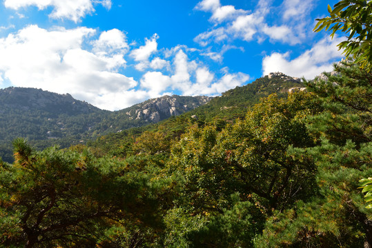 崂山秋天