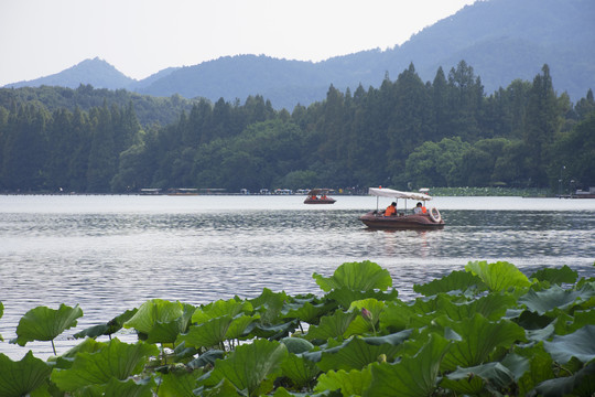 夏日西湖