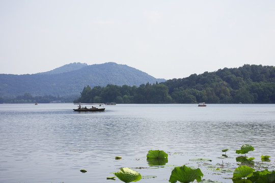 夏日西湖