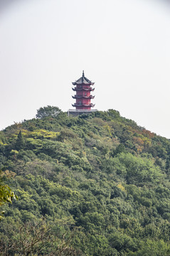 锡山龙光塔