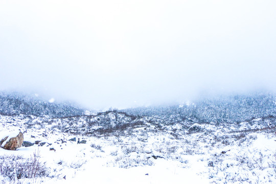 川西雪原雪景