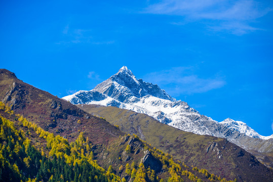 长坪沟四姑娘山