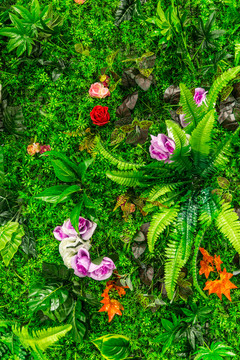 绿植花墙背景