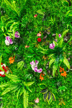 绿植花墙背景