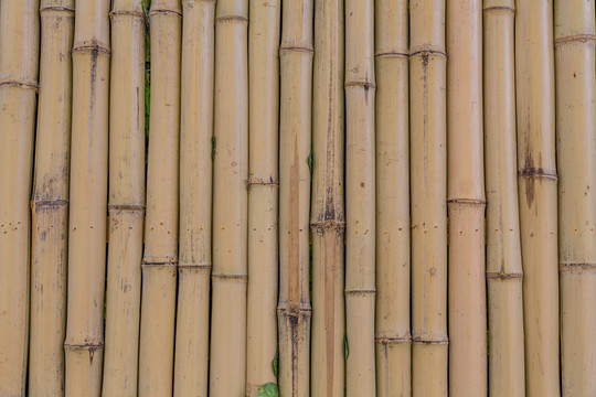 竹子素材纹理