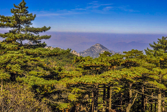 高山