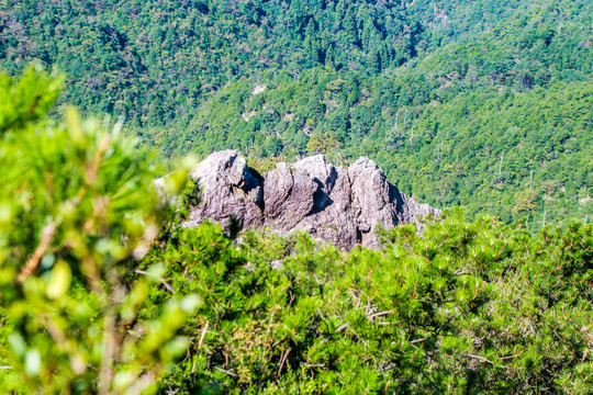 凤阳山