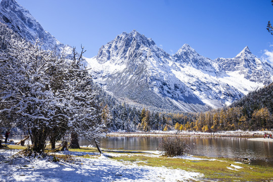 川西毕棚沟雪山风景