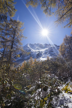 川西毕棚沟雪山风景