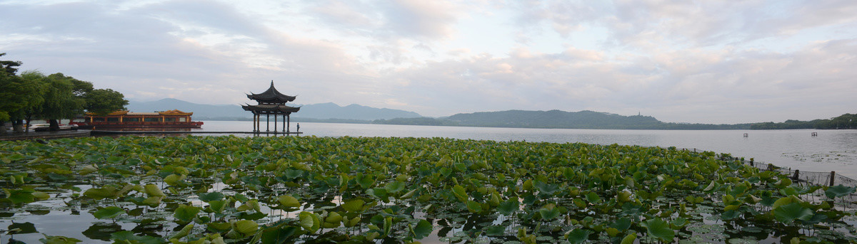 西湖全景