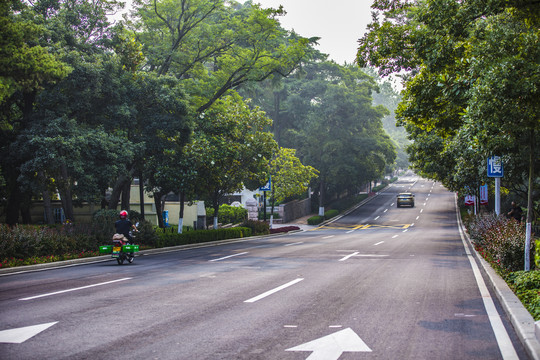 城市道路景观绿化