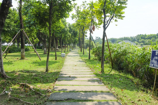 园林道路