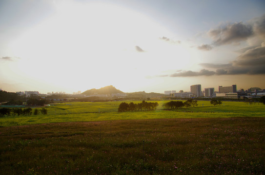 光明小镇欢乐田园