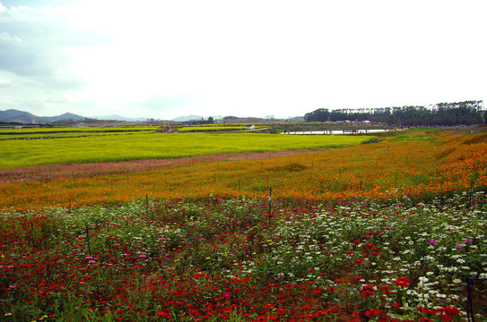 光明小镇欢乐田园