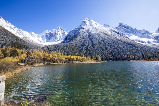 川西毕棚沟雪山风景