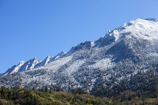 川西雪山高原风光