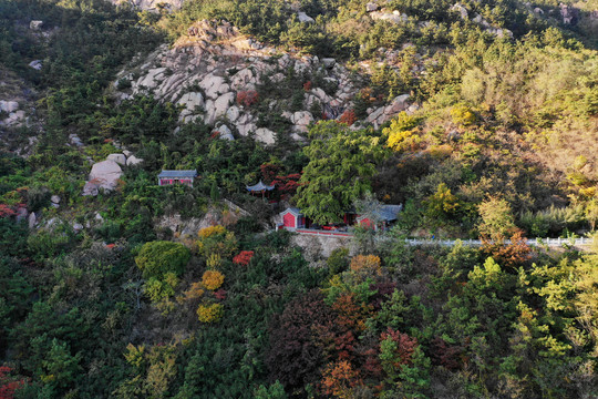 青岛竹子庵