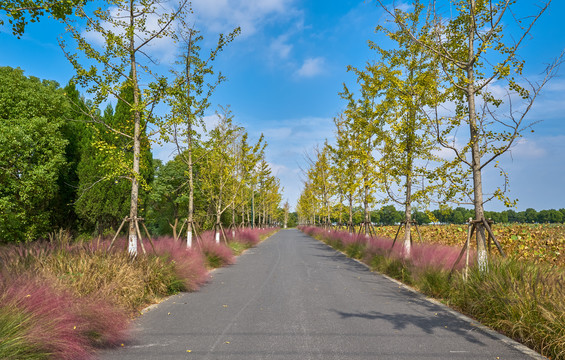 花园路