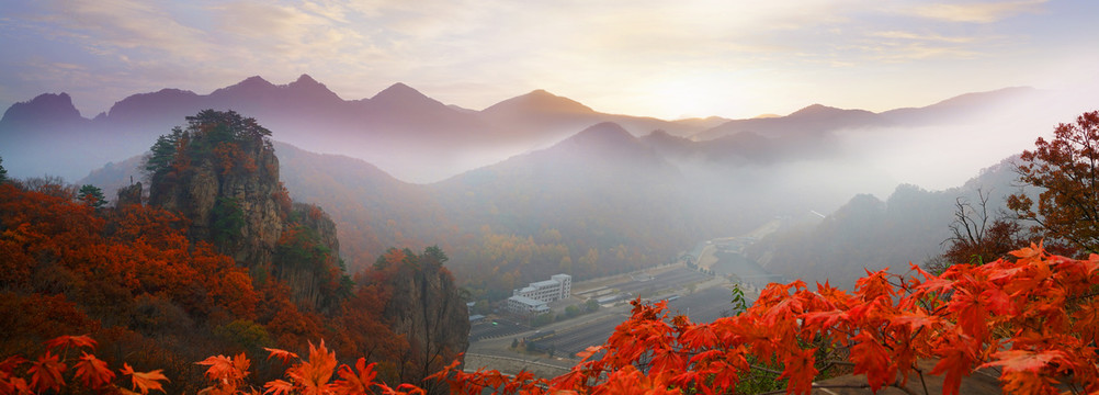 红叶风景