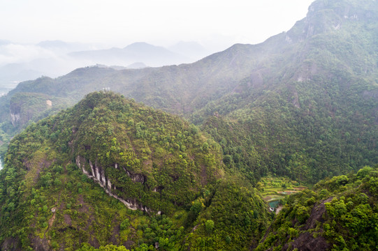 青山