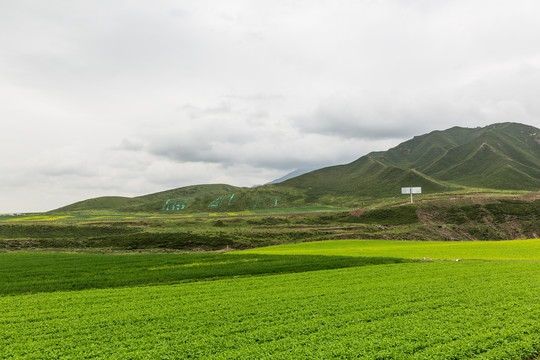 青海祁连山风光