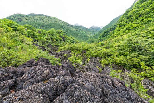 大山