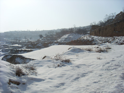 雪景