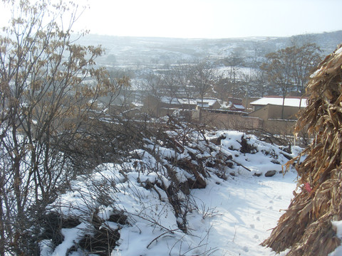 雪景