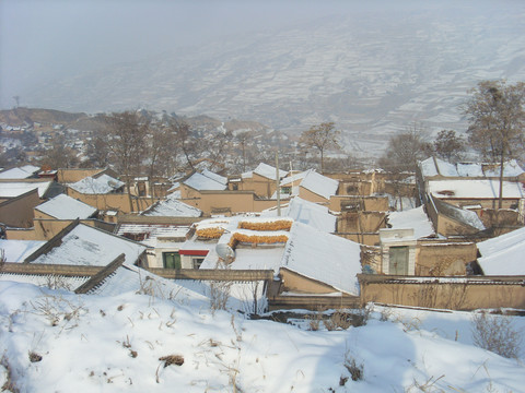 雪景