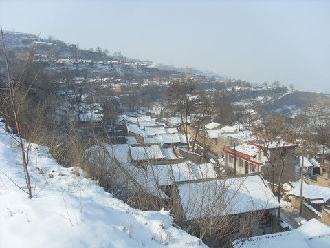 雪景